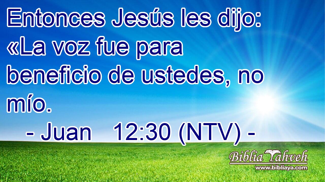 Entonces Jesús les dijo: «La voz fue para beneficio de ustedes, no mío.