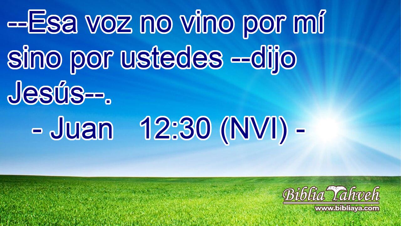  --Esa voz no vino por mí sino por ustedes --dijo Jesús--. 
