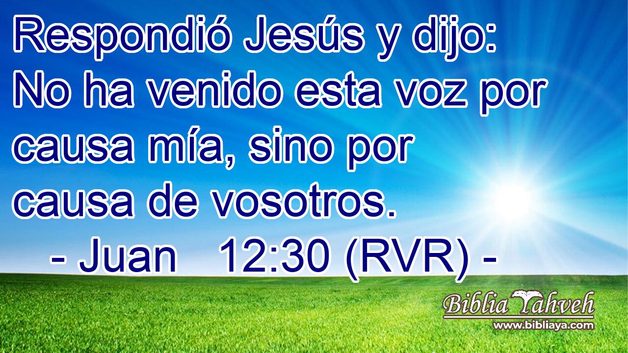 Respondió Jesús y dijo: No ha venido esta voz por causa mía, sino por causa de vosotros.