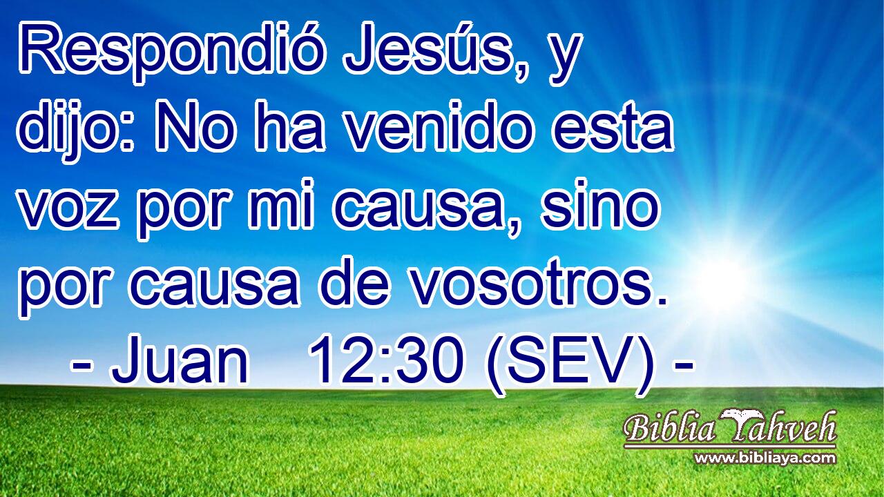 Respondió Jesús, y dijo: No ha venido esta voz por mi causa, sino por causa de vosotros.