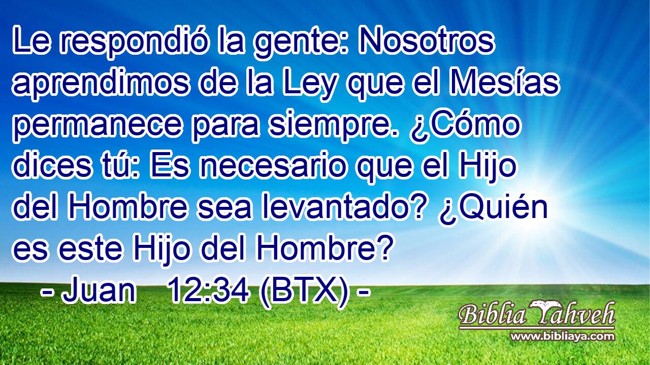 Le respondió la gente: Nosotros aprendimos de la Ley que el Mesías permanece para siempre. ¿Cómo dices tú: Es necesario que el Hijo del Hombre sea levantado? ¿Quién es este Hijo del Hombre?