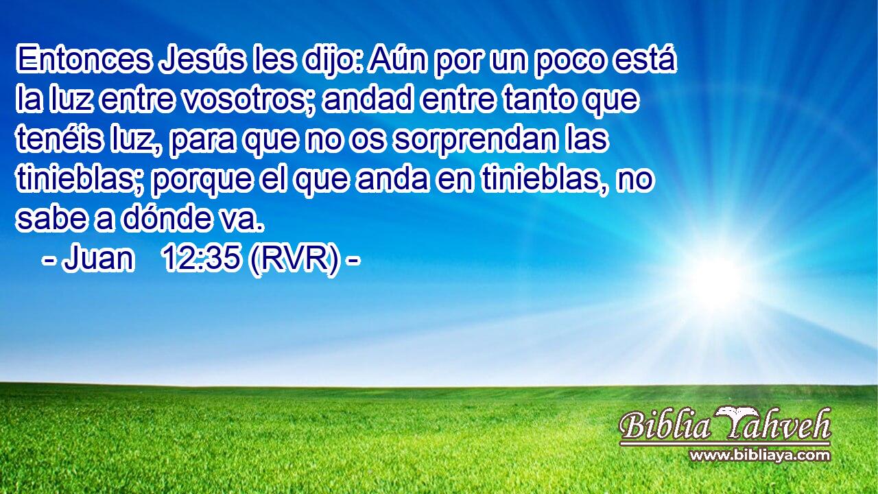 Entonces Jesús les dijo: Aún por un poco está la luz entre vosotros; andad entre tanto que tenéis luz, para que no os sorprendan las tinieblas; porque el que anda en tinieblas, no sabe a dónde va.