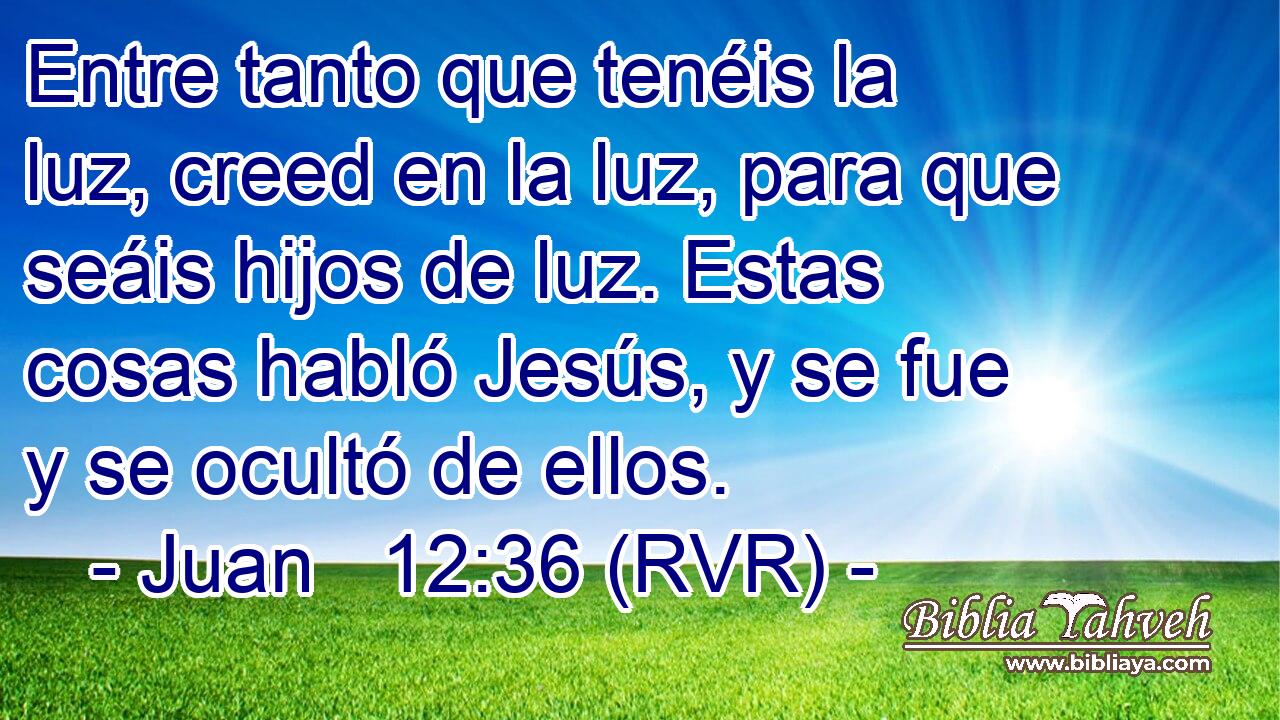 Entre tanto que tenéis la luz, creed en la luz, para que seáis hijos de luz. Estas cosas habló Jesús, y se fue y se ocultó de ellos.