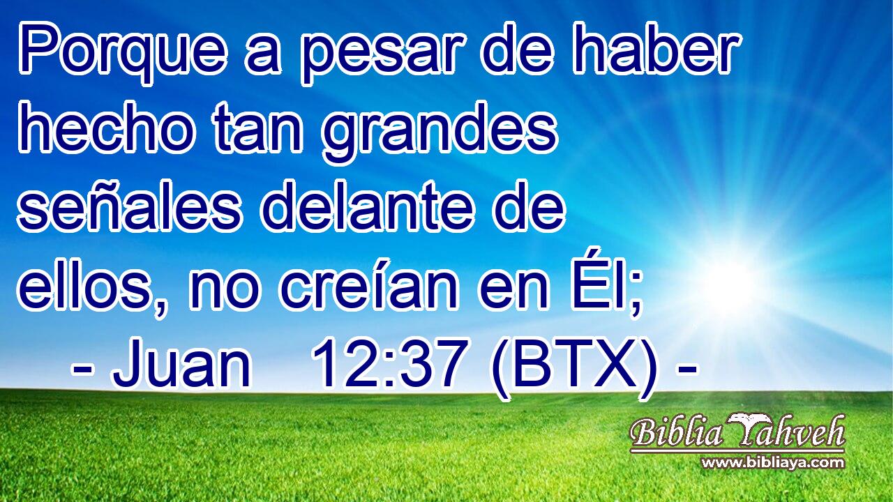 Porque a pesar de haber hecho tan grandes señales delante de ellos, no creían en Él;