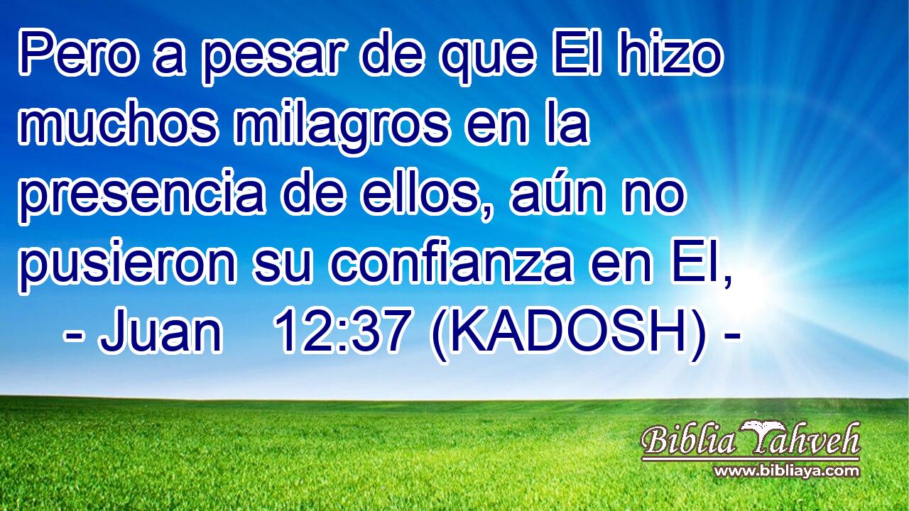  Pero a pesar de que El hizo muchos milagros en la presencia de ellos, aún no pusieron su confianza en El, 