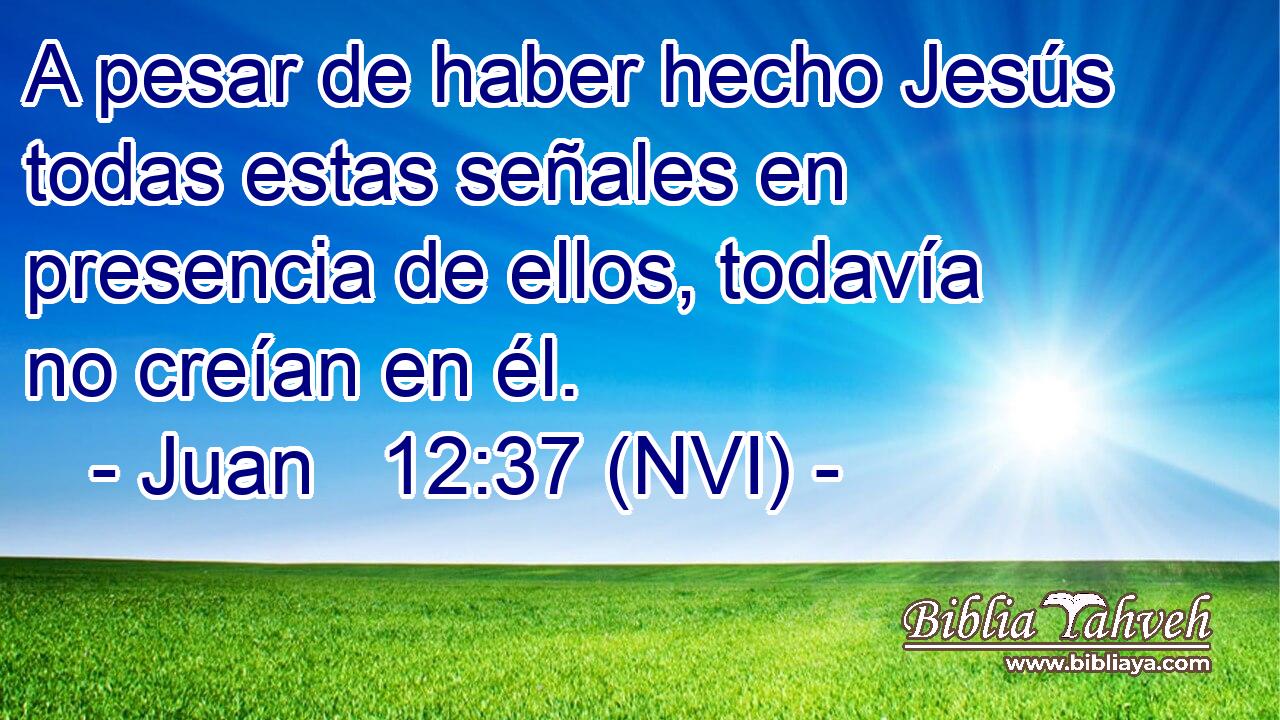  A pesar de haber hecho Jesús todas estas señales en presencia de ellos, todavía no creían en él. 