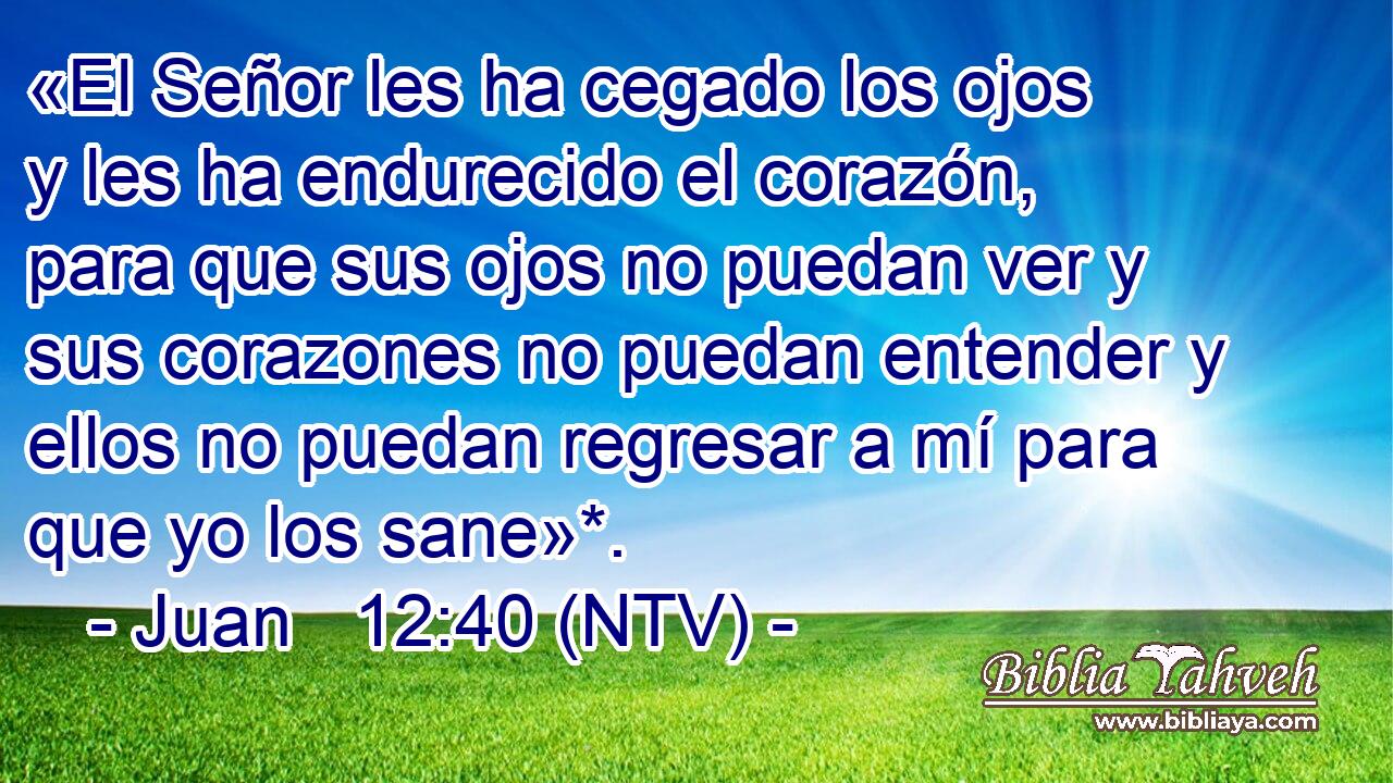 «El Señor les ha cegado los ojos y les ha endurecido el corazón, para que sus ojos no puedan ver y sus corazones no puedan entender y ellos no puedan regresar a mí para que yo los sane»*.