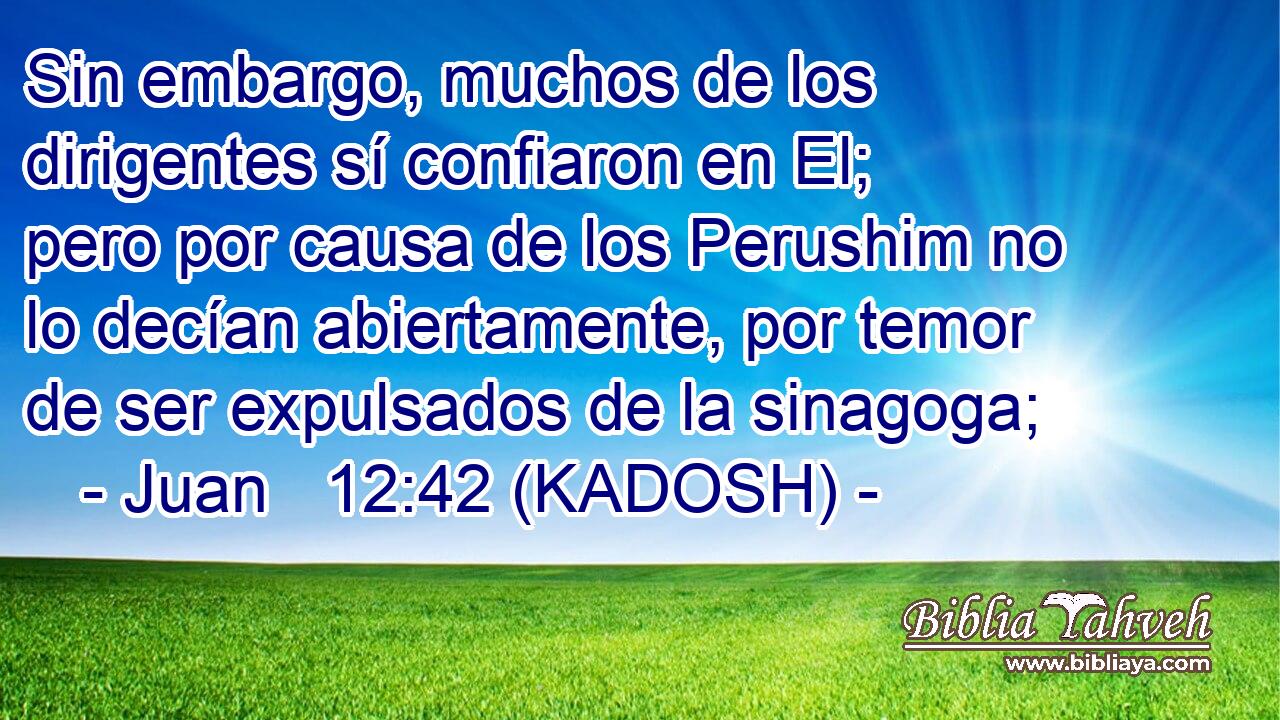  Sin embargo, muchos de los dirigentes sí confiaron en El; pero por causa de los Perushim no lo decían abiertamente, por temor de ser expulsados de la sinagoga; 