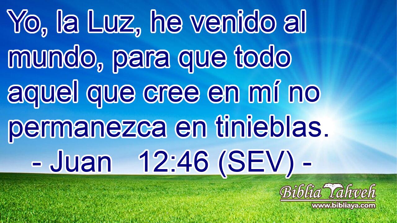 Yo, la Luz, he venido al mundo, para que todo aquel que cree en mí no permanezca en tinieblas.