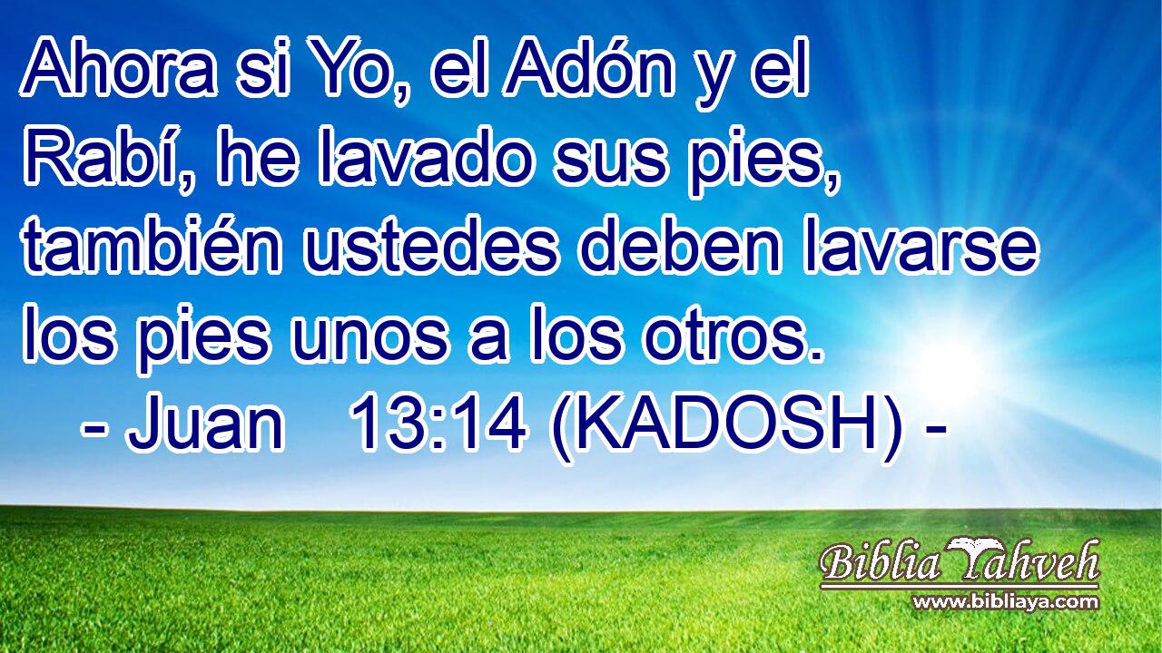  Ahora si Yo, el Adón y el Rabí, he lavado sus pies, también ustedes deben lavarse los pies unos a los otros. 