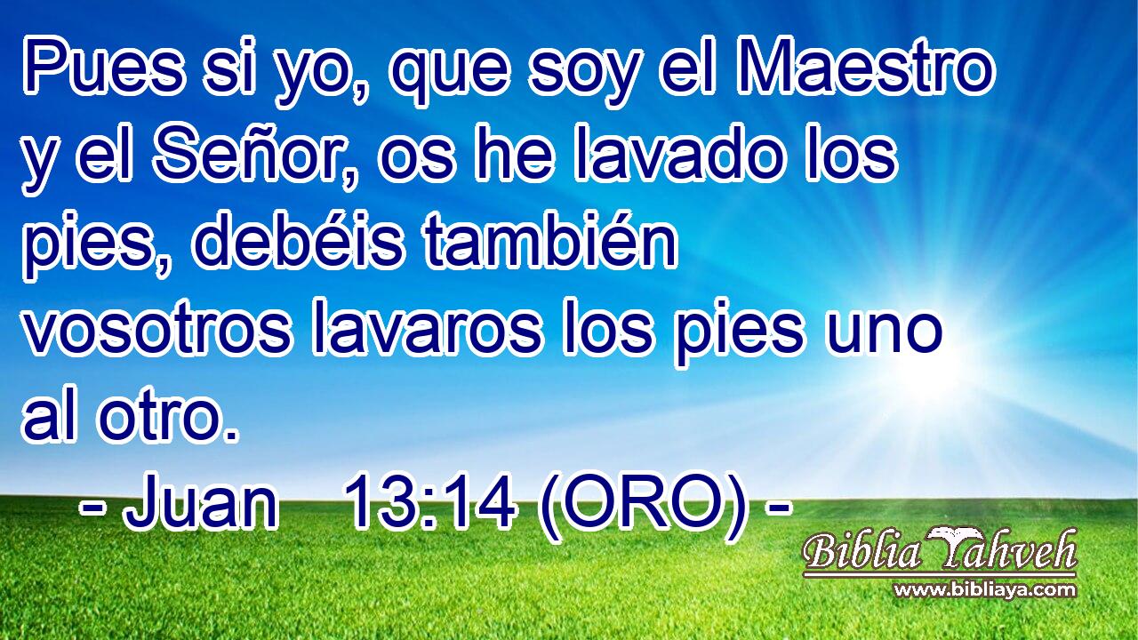  Pues si yo, que soy el Maestro y el Señor, os he lavado los pies, debéis también vosotros lavaros los pies uno al otro. 