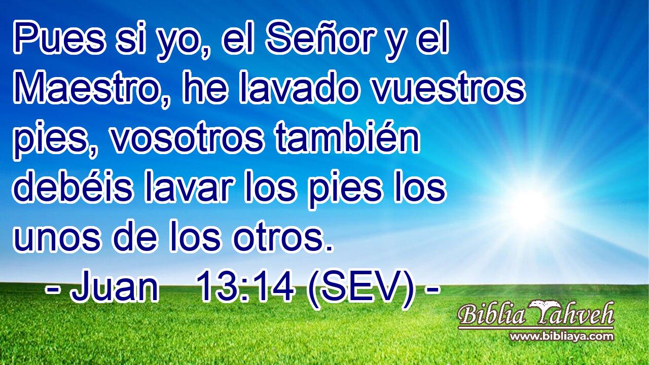 Pues si yo, el Señor y el Maestro, he lavado vuestros pies, vosotros también debéis lavar los pies los unos de los otros.