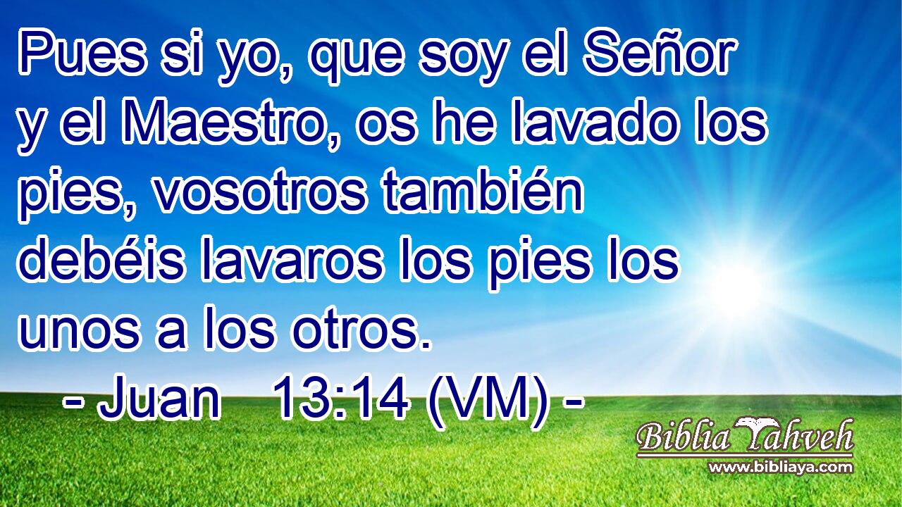  Pues si yo, que soy el Señor y el Maestro, os he lavado los pies, vosotros también debéis lavaros los pies los unos a los otros. 
