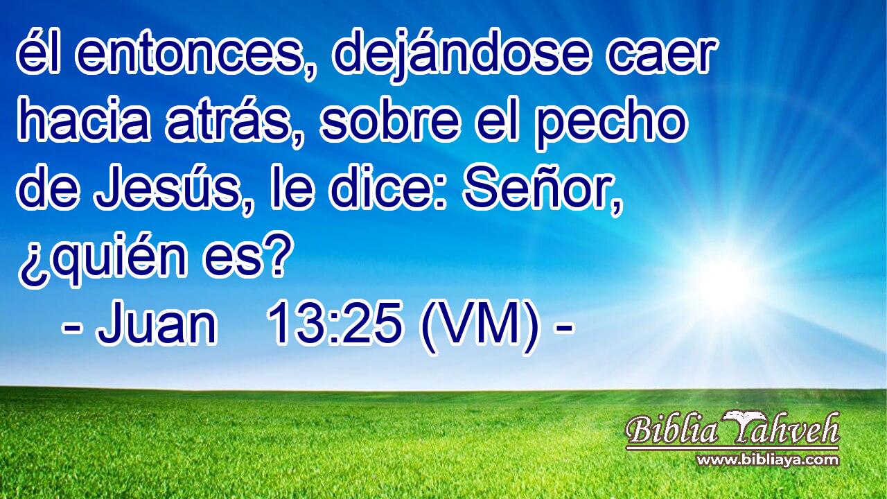  él entonces, dejándose caer hacia atrás, sobre el pecho de Jesús, le dice: Señor, ¿quién es? 