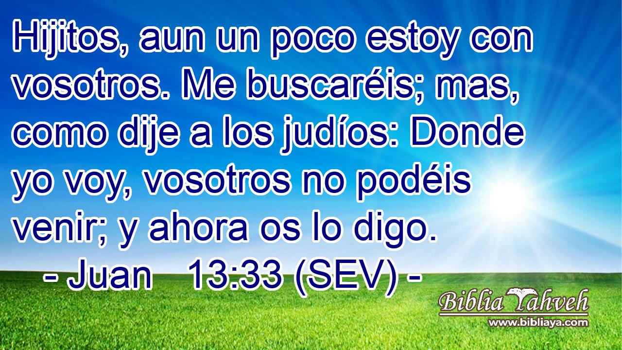 Hijitos, aun un poco estoy con vosotros. Me buscaréis; mas, como dije a los judíos: Donde yo voy, vosotros no podéis venir; y ahora os lo digo.