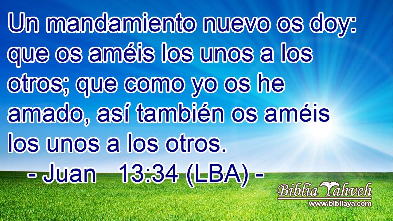 Un mandamiento nuevo os doy: que os améis los unos a los otros; que como yo os he amado, así también os améis los unos a los otros.