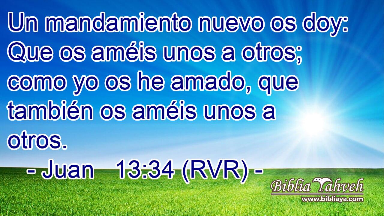 Un mandamiento nuevo os doy: Que os améis unos a otros; como yo os he amado, que también os améis unos a otros.