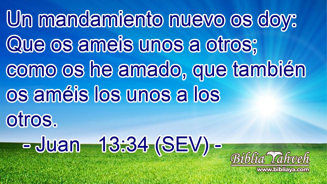 Un mandamiento nuevo os doy: Que os ameis unos a otros; como os he amado, que también os améis los unos a los otros.