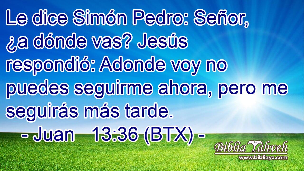 Le dice Simón Pedro: Señor, ¿a dónde vas? Jesús respondió: Adonde voy no puedes seguirme ahora, pero me seguirás más tarde.