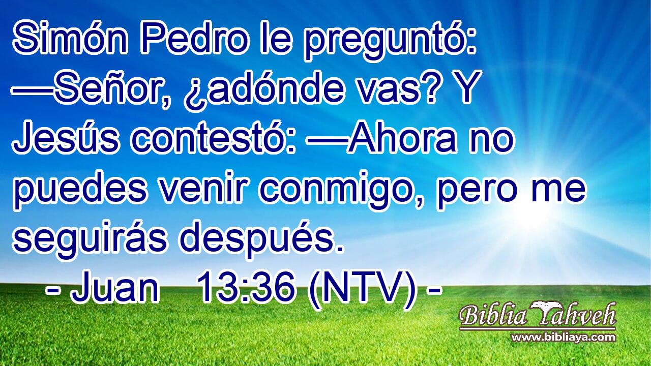 Simón Pedro le preguntó: —Señor, ¿adónde vas? Y Jesús contestó: —Ahora no puedes venir conmigo, pero me seguirás después.