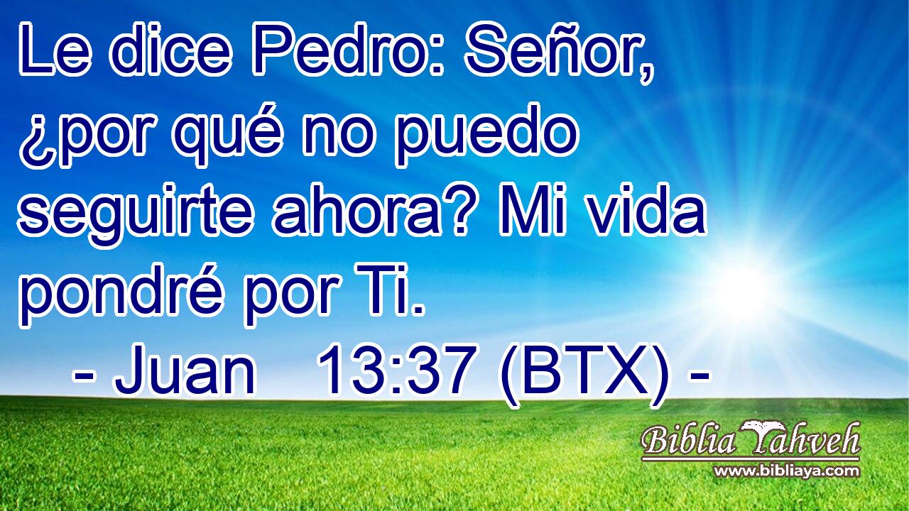 Le dice Pedro: Señor, ¿por qué no puedo seguirte ahora? Mi vida pondré por Ti.