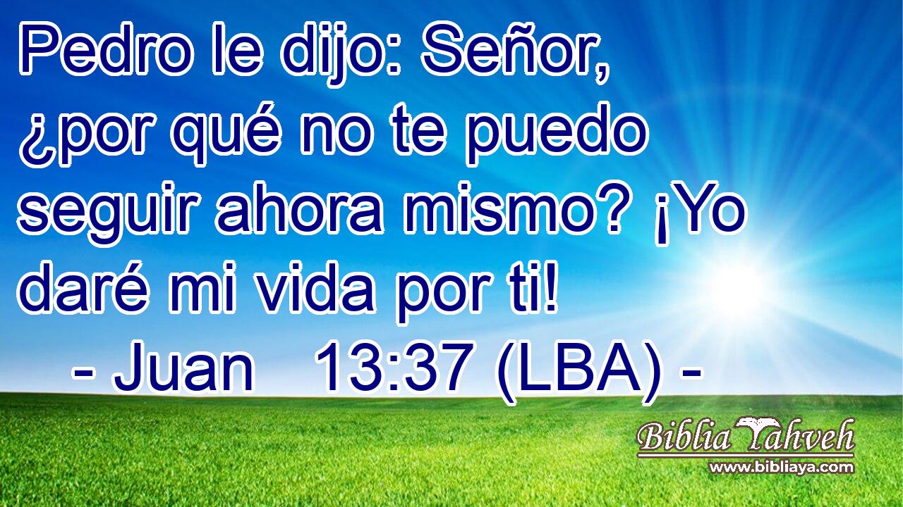 Pedro le dijo: Señor, ¿por qué no te puedo seguir ahora mismo? ¡Yo daré mi vida por ti!