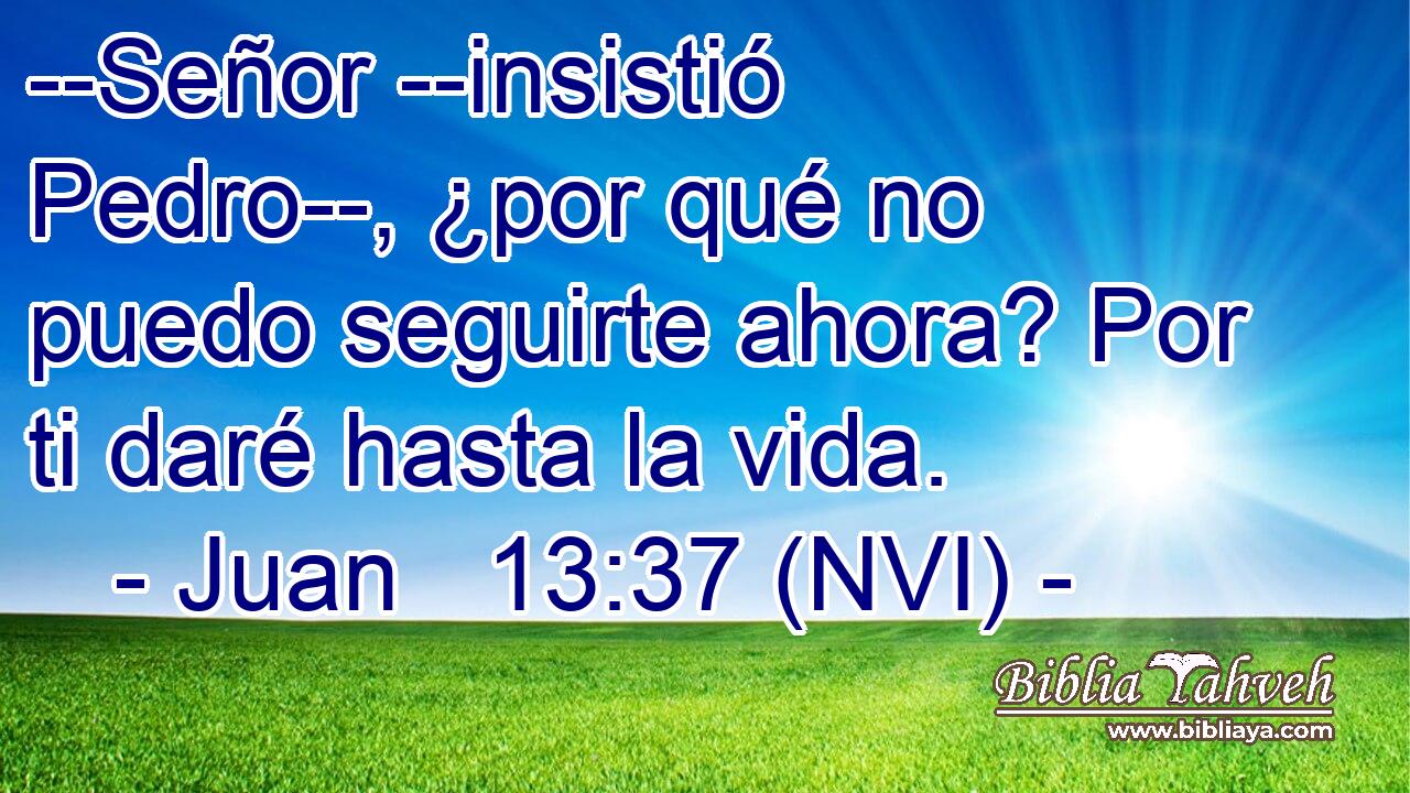  --Señor --insistió Pedro--, ¿por qué no puedo seguirte ahora? Por ti daré hasta la vida. 