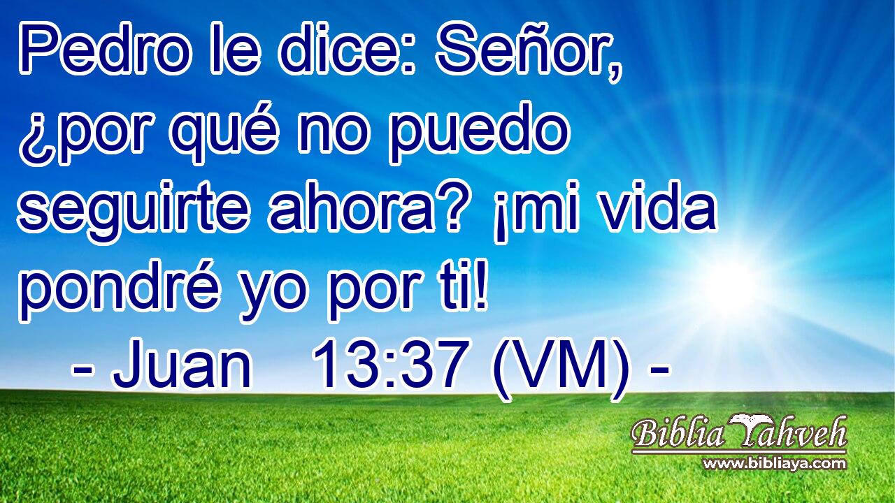  Pedro le dice: Señor, ¿por qué no puedo seguirte ahora? ¡mi vida pondré yo por ti! 