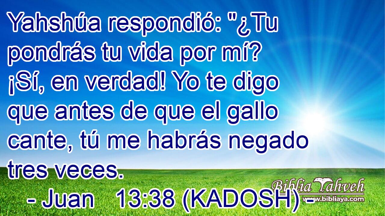  Yahshúa respondió: 