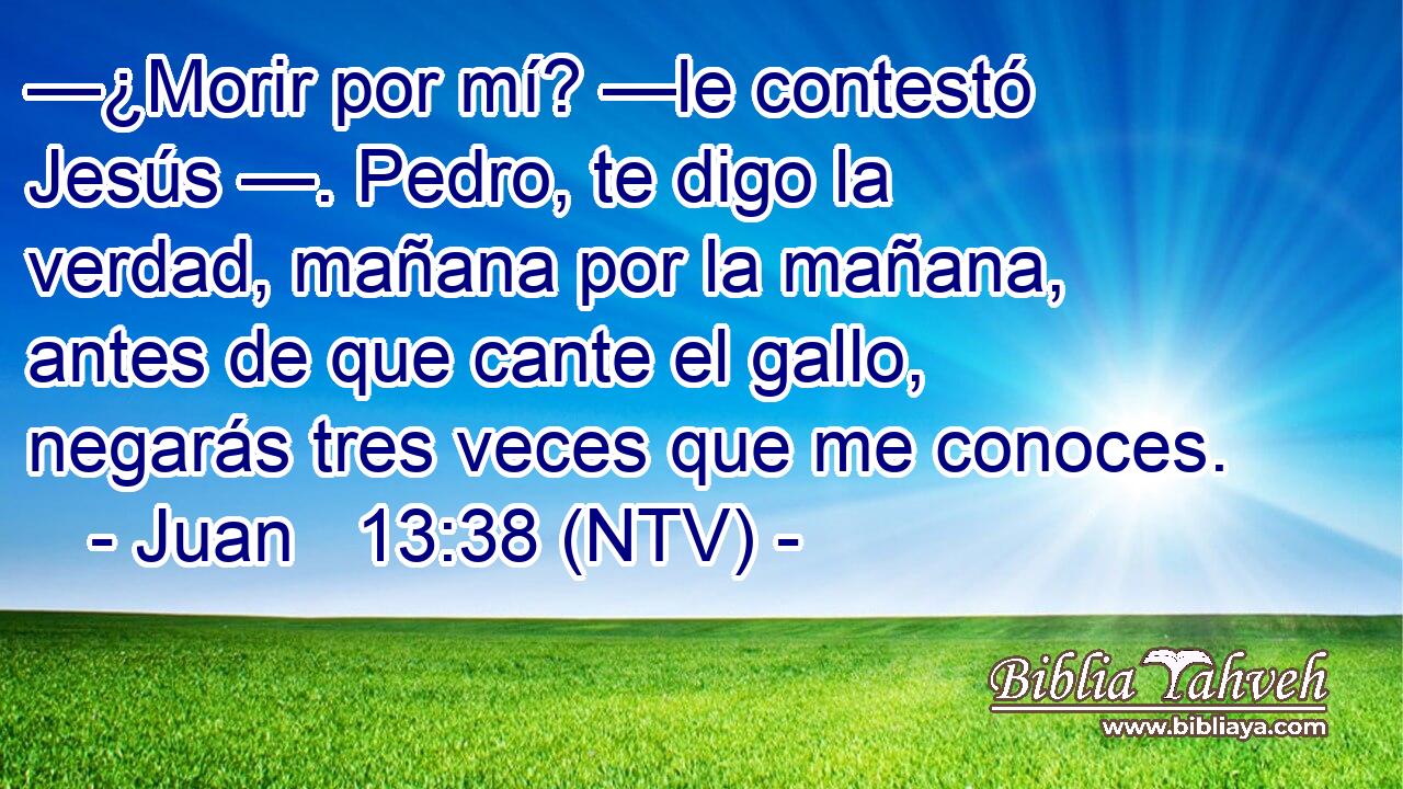 —¿Morir por mí? —le contestó Jesús —. Pedro, te digo la verdad, mañana por la mañana, antes de que cante el gallo, negarás tres veces que me conoces.