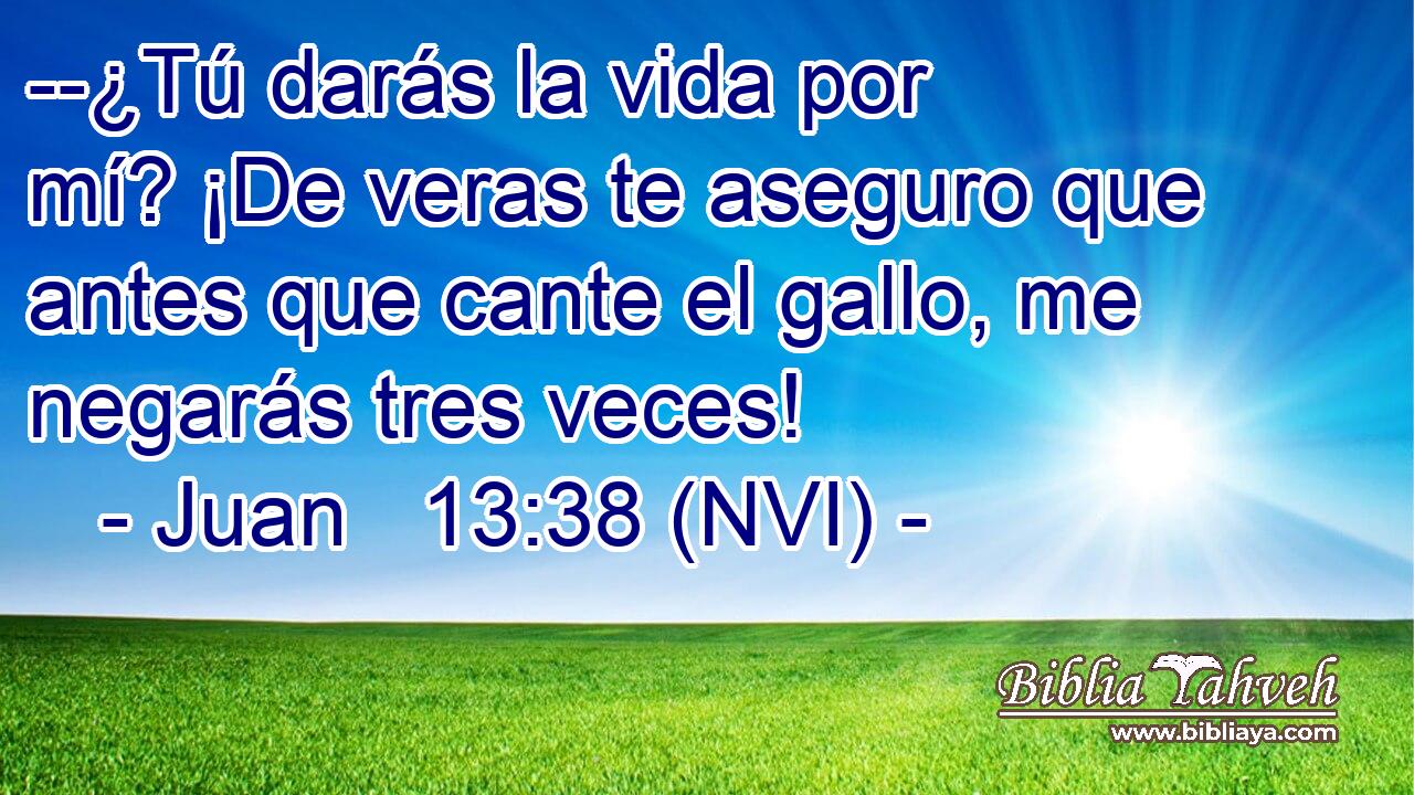  --¿Tú darás la vida por mí? ¡De veras te aseguro que antes que cante el gallo, me negarás tres veces! 
