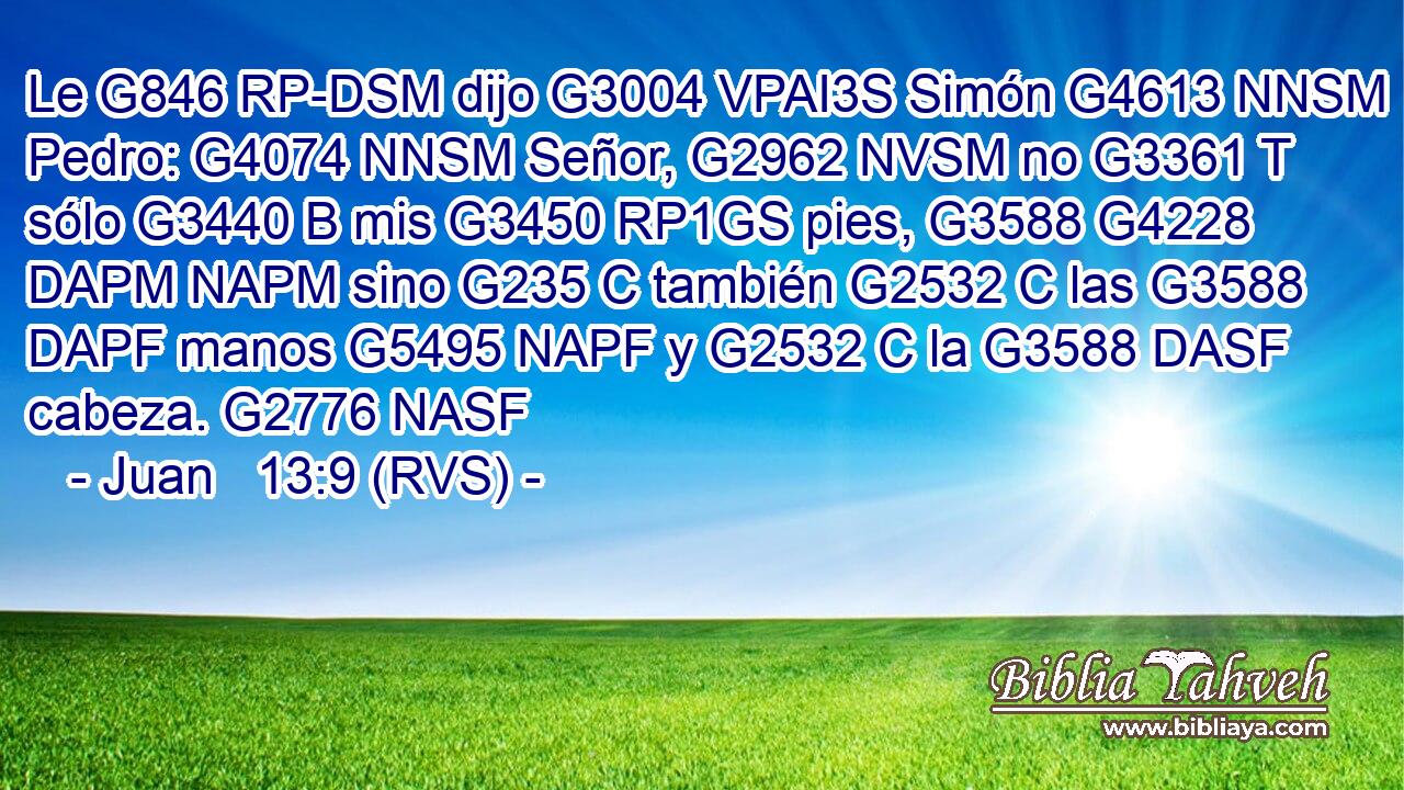 Le G846 RP-DSM dijo G3004 VPAI3S Simón G4613 NNSM Pedro: G4074 NNSM Señor, G2962 NVSM no G3361 T sólo G3440 B mis G3450 RP1GS pies, G3588 G4228 DAPM NAPM sino G235 C también G2532 C las G3588 DAPF manos G5495 NAPF y G2532 C la G3588 DASF cabeza. G2776 NASF 