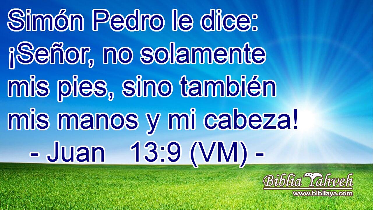  Simón Pedro le dice: ¡Señor, no solamente mis pies, sino también mis manos y mi cabeza! 