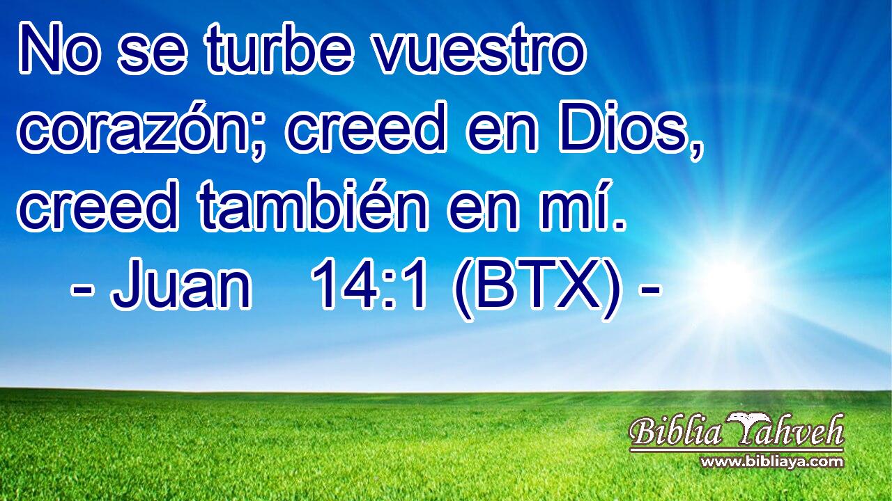 No se turbe vuestro corazón; creed en Dios, creed también en mí.