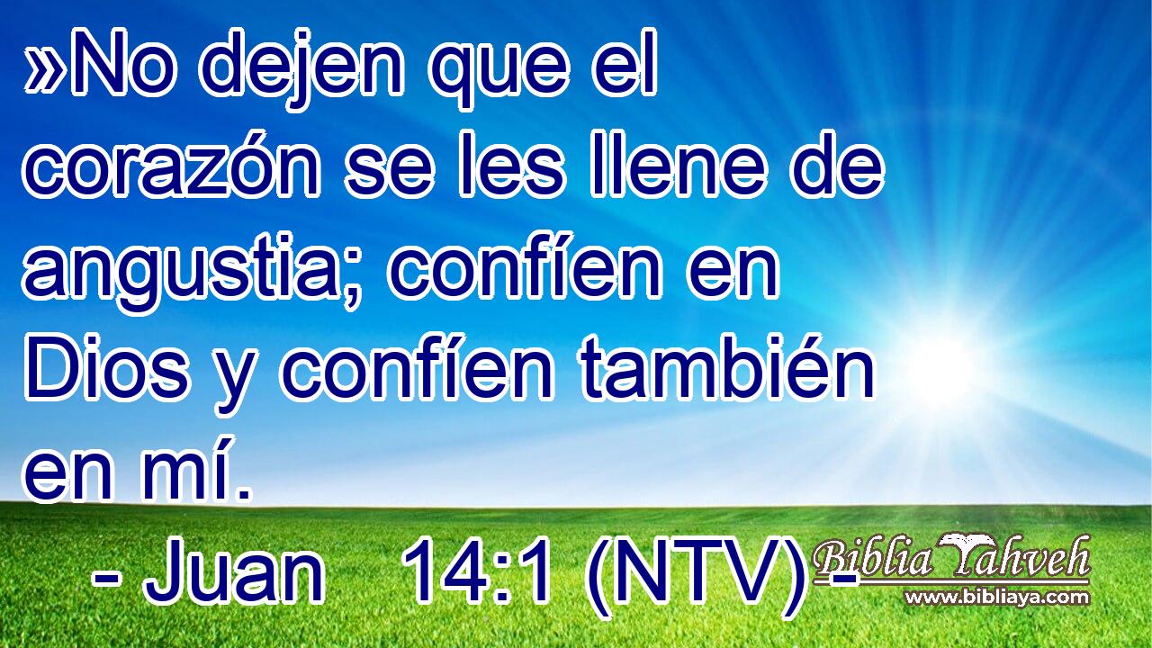 »No dejen que el corazón se les llene de angustia; confíen en Dios y confíen también en mí.