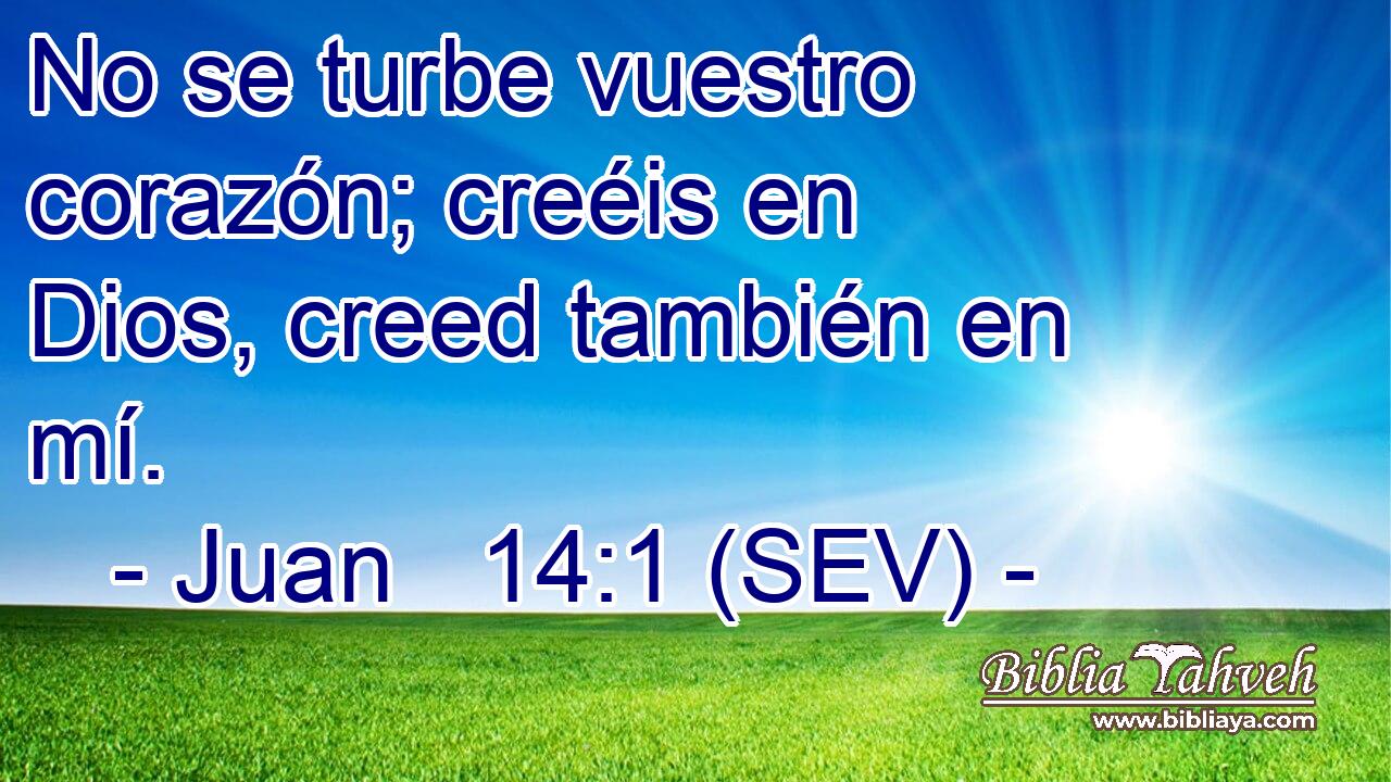 No se turbe vuestro corazón; creéis en Dios, creed también en mí.