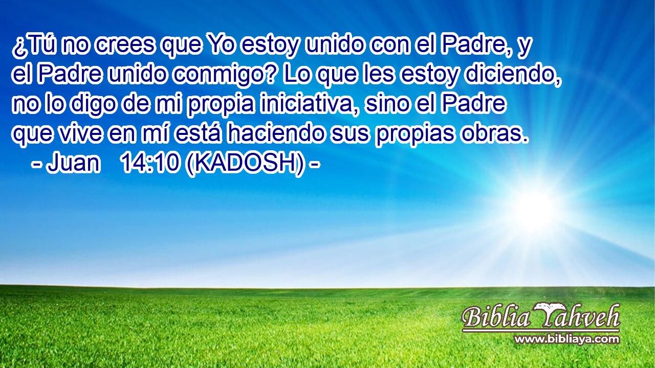  ¿Tú no crees que Yo estoy unido con el Padre, y el Padre unido conmigo? Lo que les estoy diciendo, no lo digo de mi propia iniciativa, sino el Padre que vive en mí está haciendo sus propias obras. 