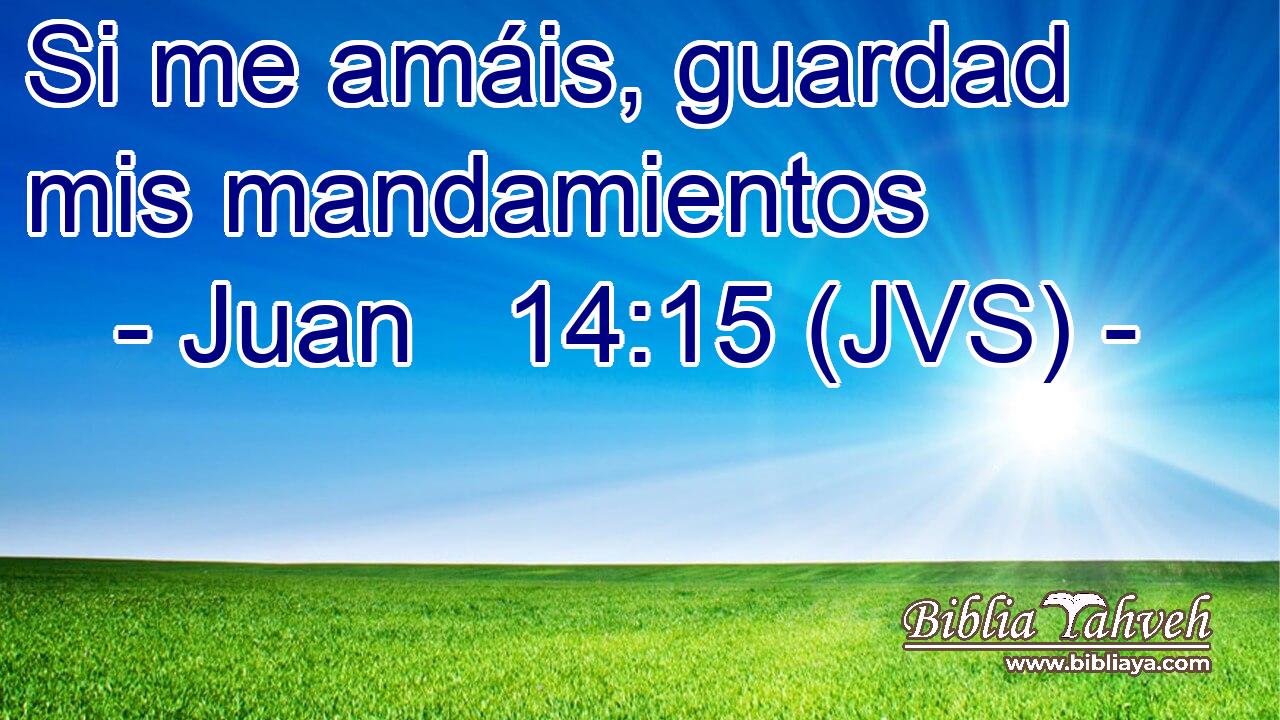 Si me amáis, guardad mis mandamientos