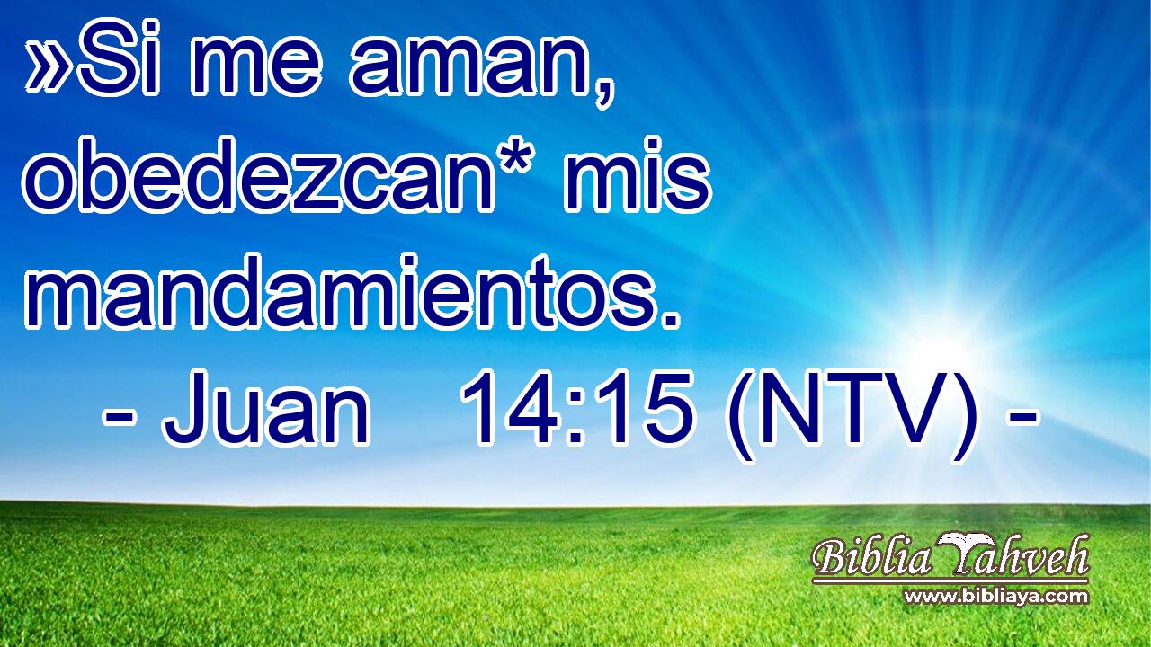 »Si me aman, obedezcan* mis mandamientos.