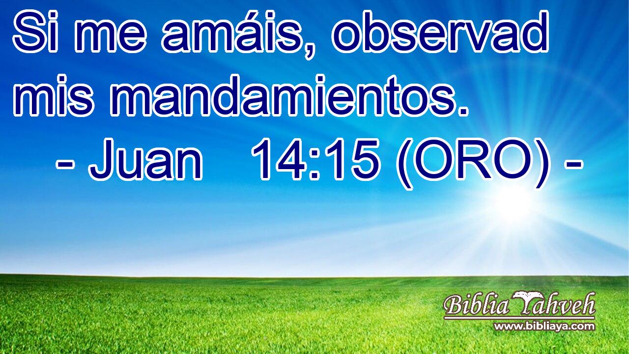  Si me amáis, observad mis mandamientos. 