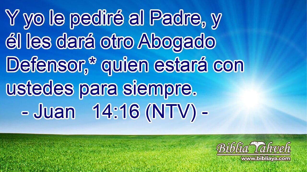 Y yo le pediré al Padre, y él les dará otro Abogado Defensor,* quien estará con ustedes para siempre.