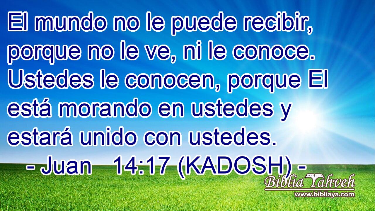  El mundo no le puede recibir, porque no le ve, ni le conoce. Ustedes le conocen, porque El está morando en ustedes y estará unido con ustedes. 