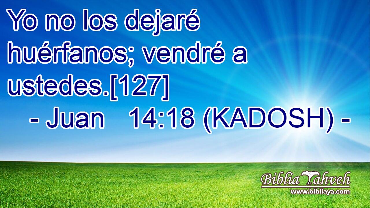  Yo no los dejaré huérfanos; vendré a ustedes.[127] 