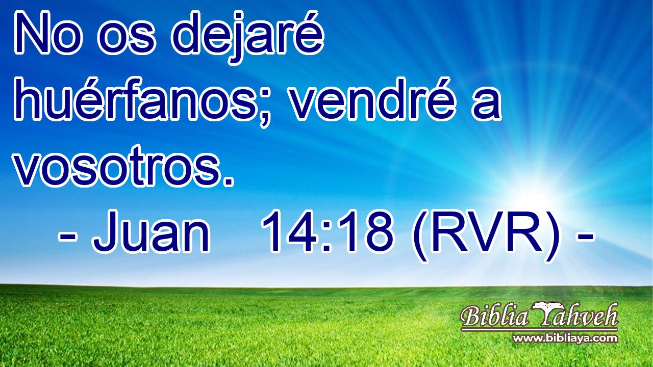 No os dejaré huérfanos; vendré a vosotros.