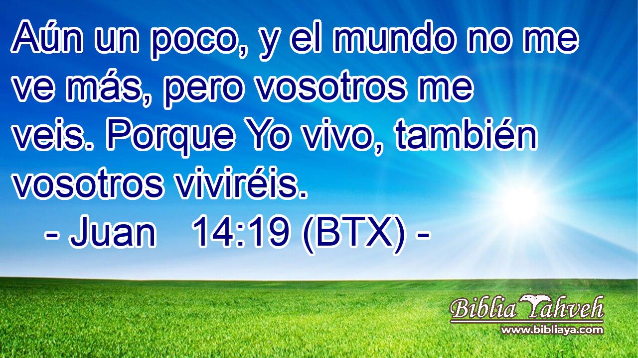 Aún un poco, y el mundo no me ve más, pero vosotros me veis. Porque Yo vivo, también vosotros viviréis.