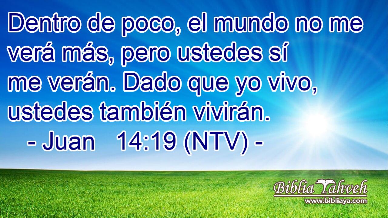 Dentro de poco, el mundo no me verá más, pero ustedes sí me verán. Dado que yo vivo, ustedes también vivirán.