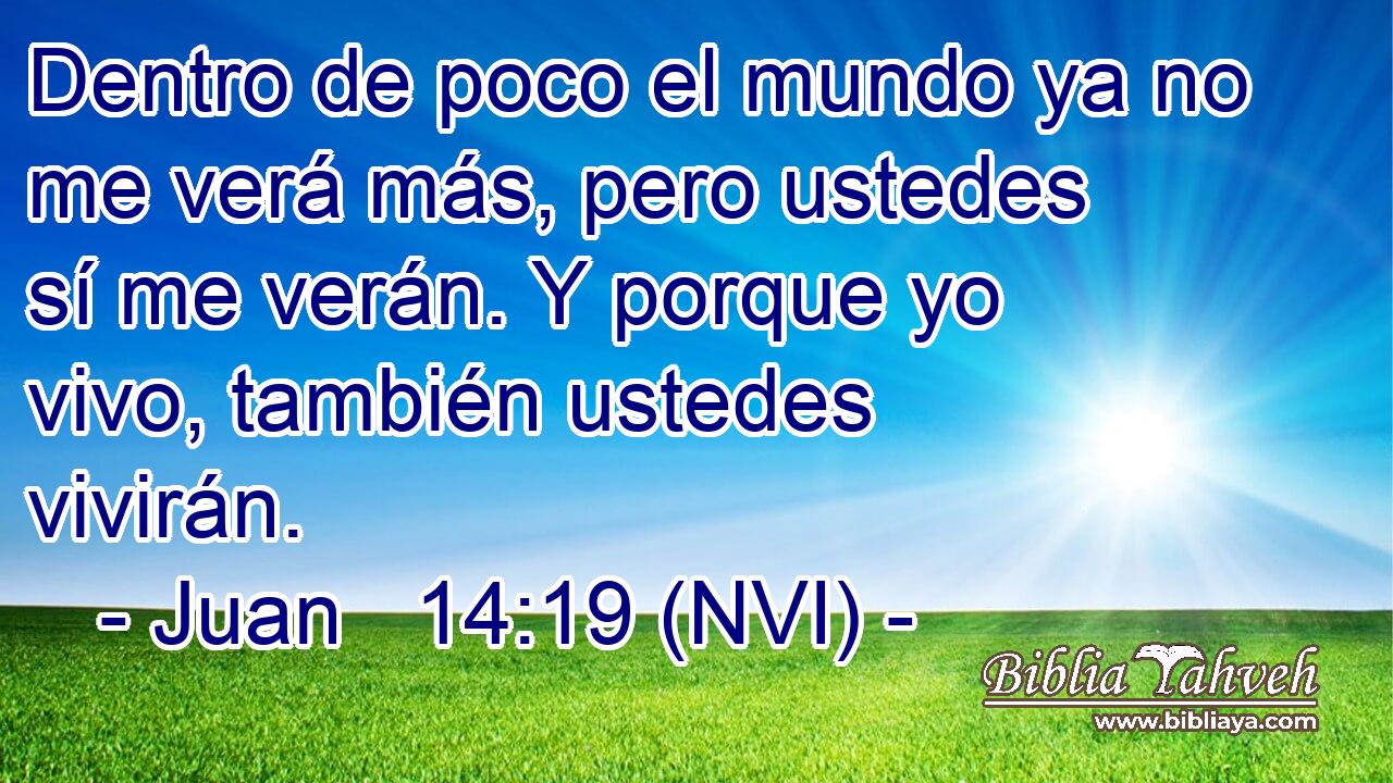  Dentro de poco el mundo ya no me verá más, pero ustedes sí me verán. Y porque yo vivo, también ustedes vivirán. 