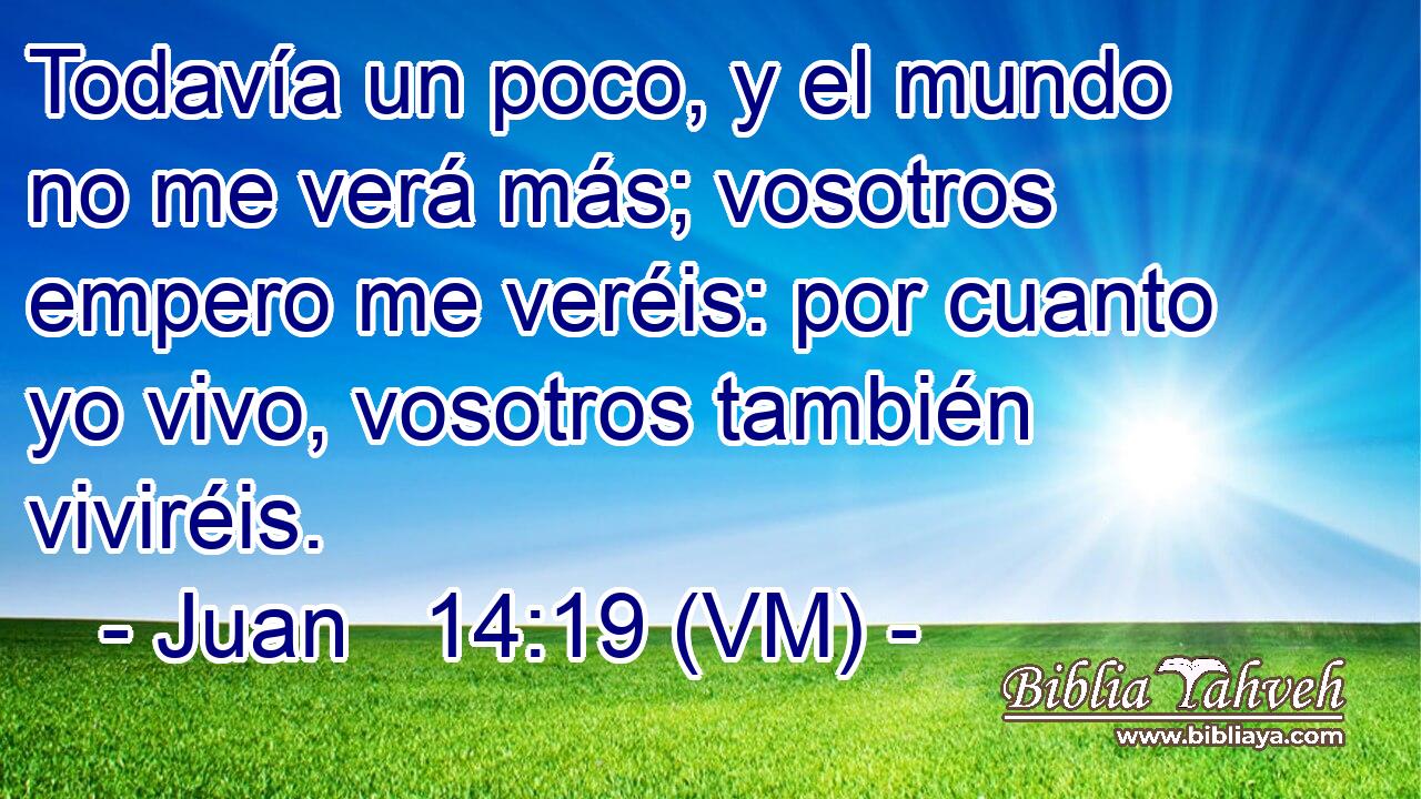  Todavía un poco, y el mundo no me verá más; vosotros empero me veréis: por cuanto yo vivo, vosotros también viviréis. 