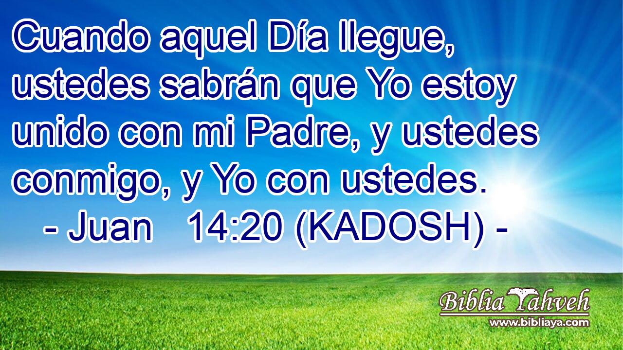  Cuando aquel Día llegue, ustedes sabrán que Yo estoy unido con mi Padre, y ustedes conmigo, y Yo con ustedes. 