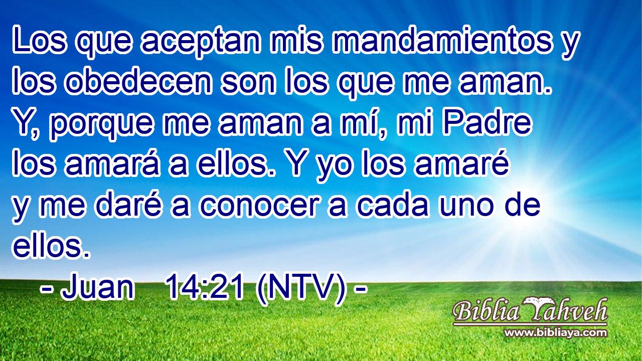 Los que aceptan mis mandamientos y los obedecen son los que me aman. Y, porque me aman a mí, mi Padre los amará a ellos. Y yo los amaré y me daré a conocer a cada uno de ellos.